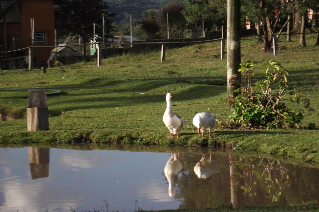 Hotel Fazenda Pampas Canela Exterior photo